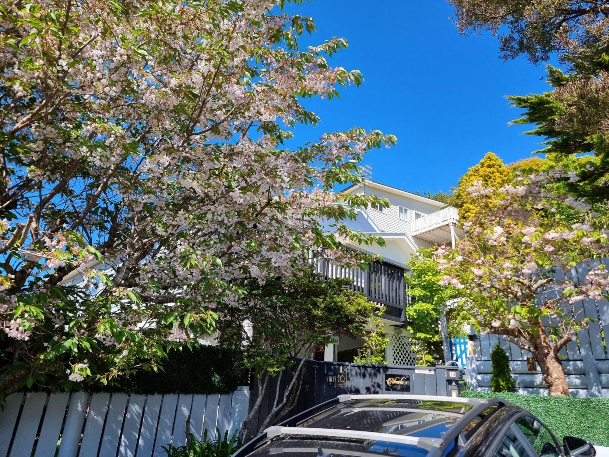 Entire Ground Floor With Full-Privacy And Family-Friendly Popular To Ferry Catchers Wellington Exterior foto